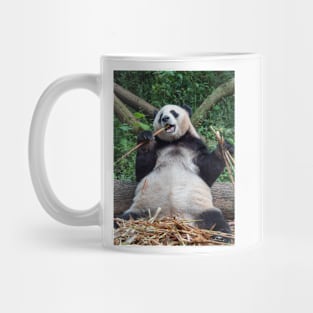 Panda Bamboo Feast Mug